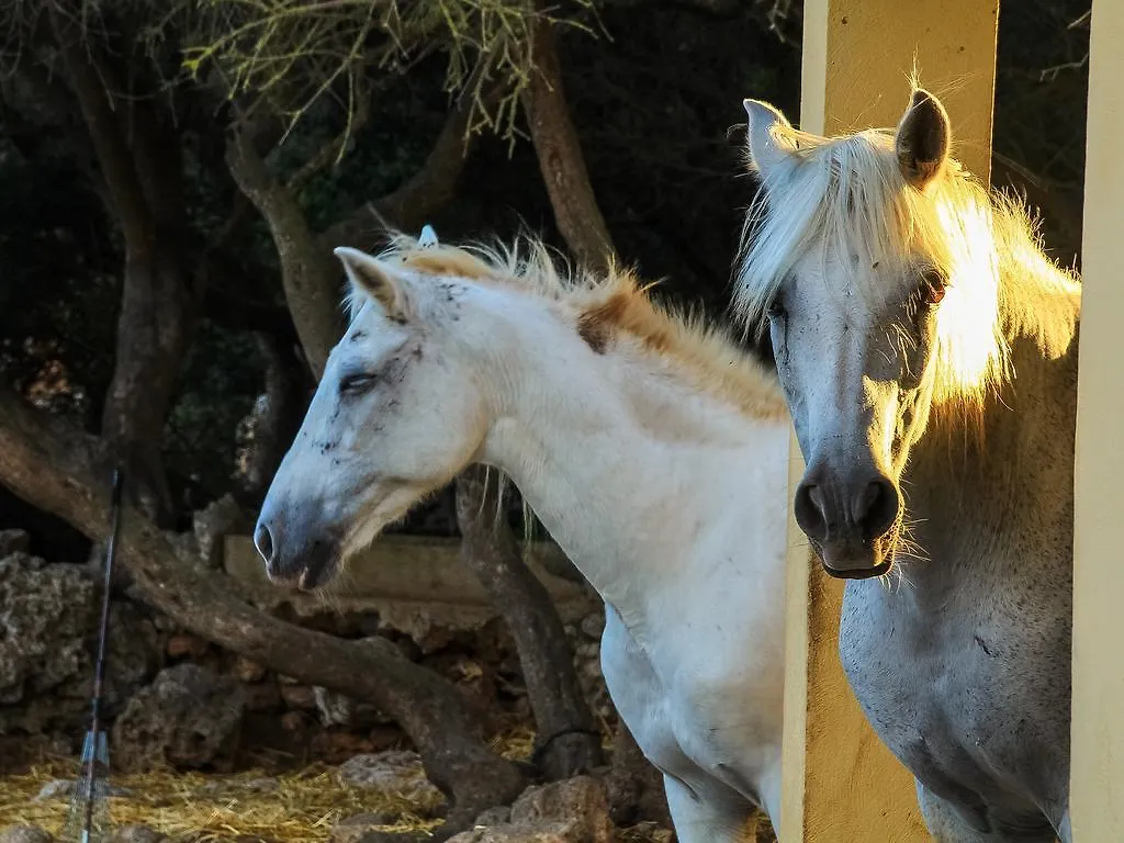 Country house Finca Hotel Rural Predio Son Serra Can Picafort